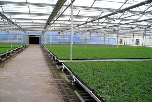 內(nèi)蒙古匯能農(nóng)場種植基地